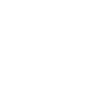 CV Icon